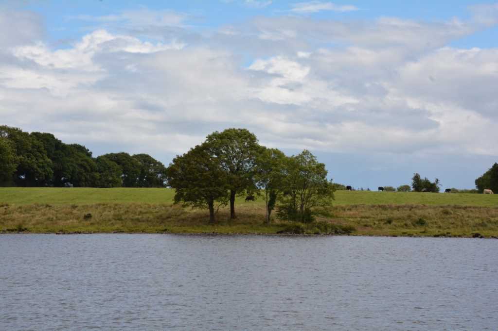 DSC_6148Mittel_.JPG